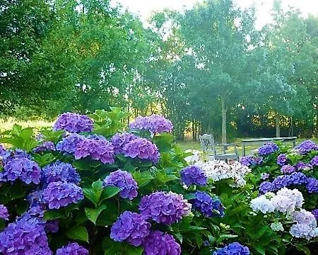 La Veillonnais Bed & Breakfast