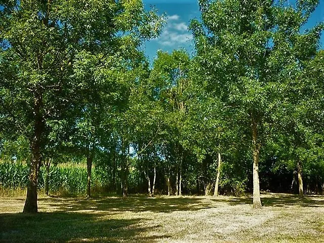 فندق مبيت وإفطار La Veillonnais