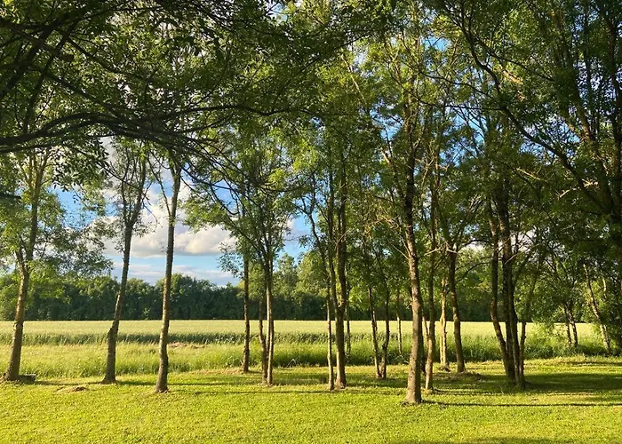 فندق مبيت وإفطار La Veillonnais Angrie